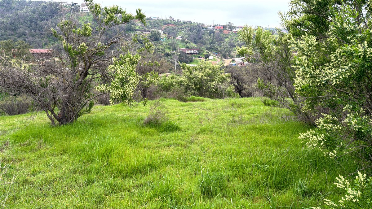 Venta Parcela Limache - Valparaíso