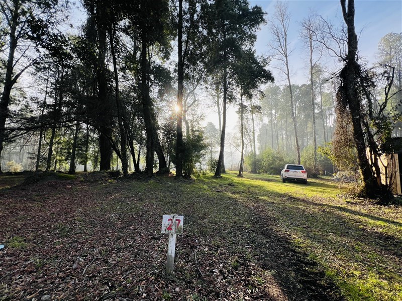 Venta Sitio Pucón - La Araucanía