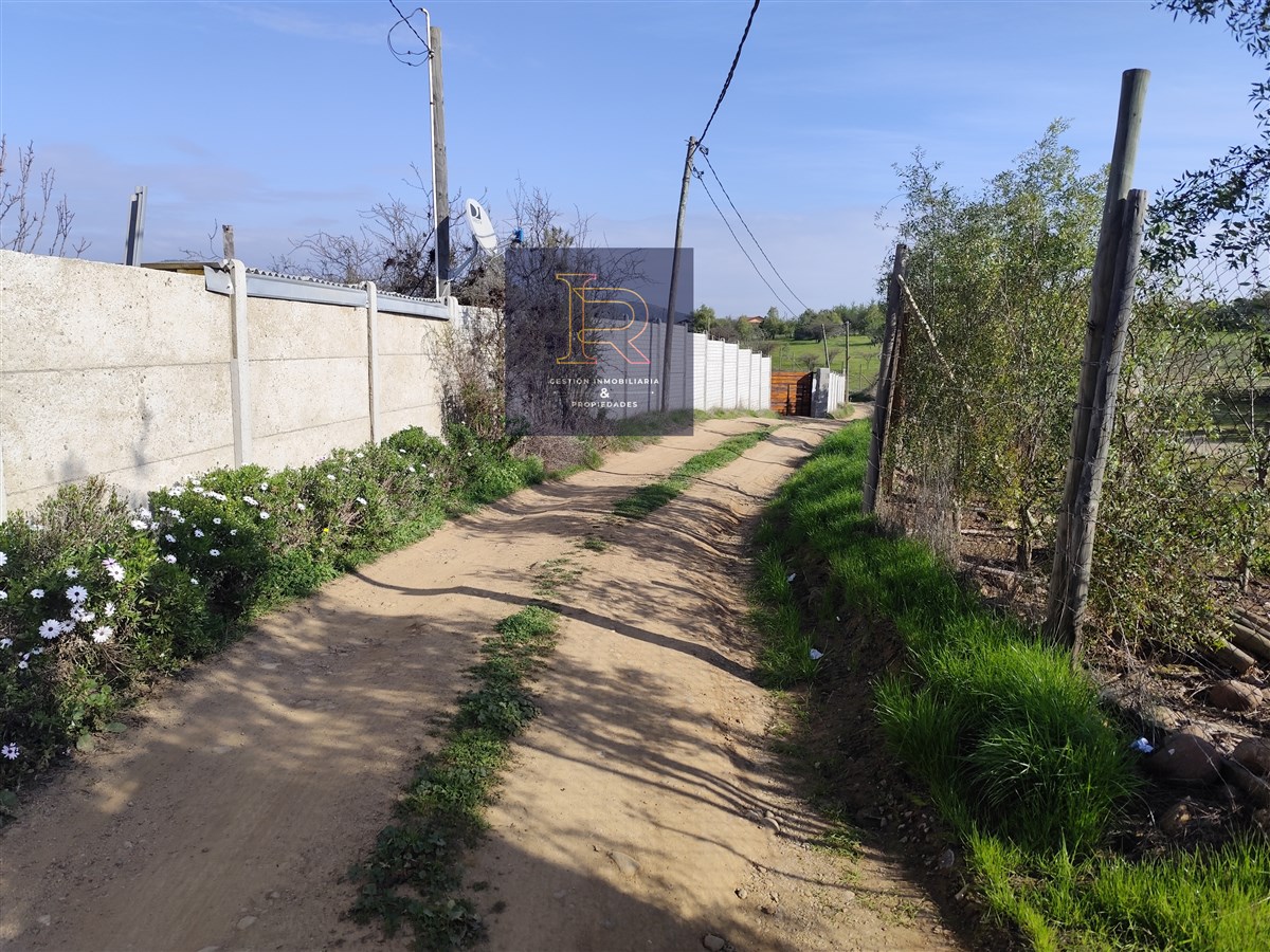 Venta Agrícola Quillota - Valparaíso