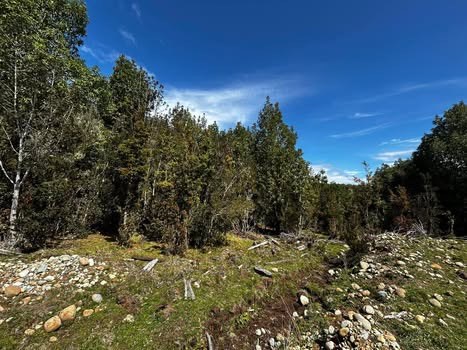 Venta Agrícola Hualaihué - Los Lagos