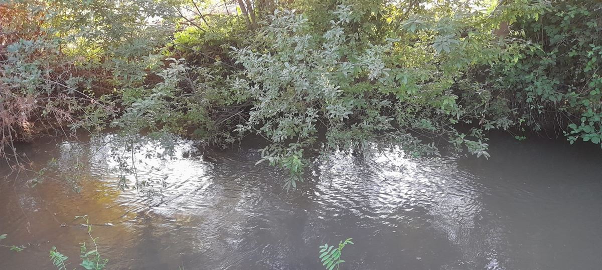 Venta Parcela Longaví - Maule