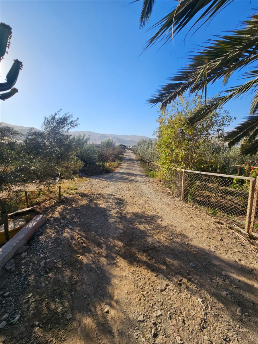 Venta Agrícola Copiapó - Atacama