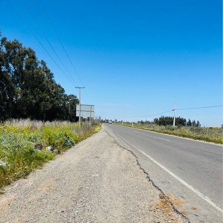 Arriendo Industrial Cartagena - Valparaíso