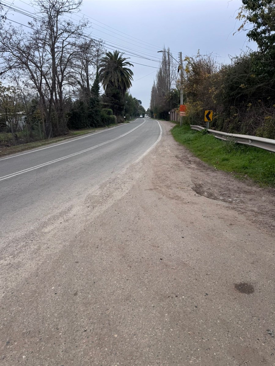 Venta Parcela Santa Cruz - O'Higgins
